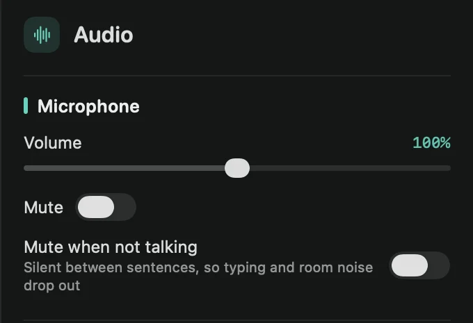 The Audio tab’s Microphone section: Volume, Mute and Mute when not talking