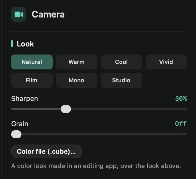 The Camera tab’s Look section: the seven color styles, Sharpen, Grain and Color file (.cube)